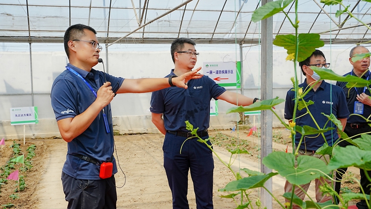 OEŷ��|�ٷ���վ